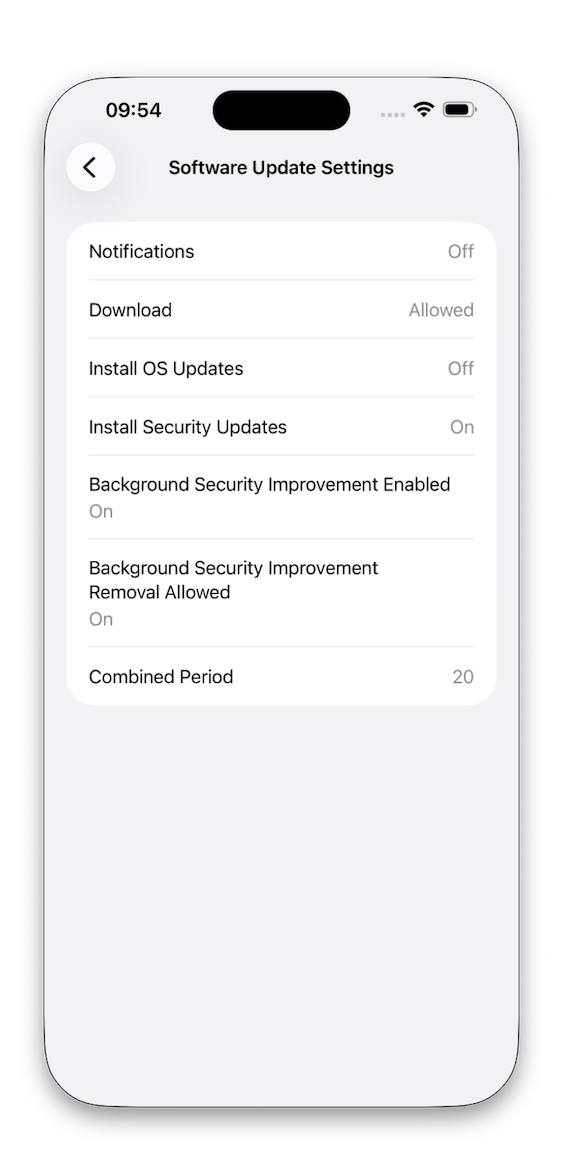 iPhone Software Update settings configuration view