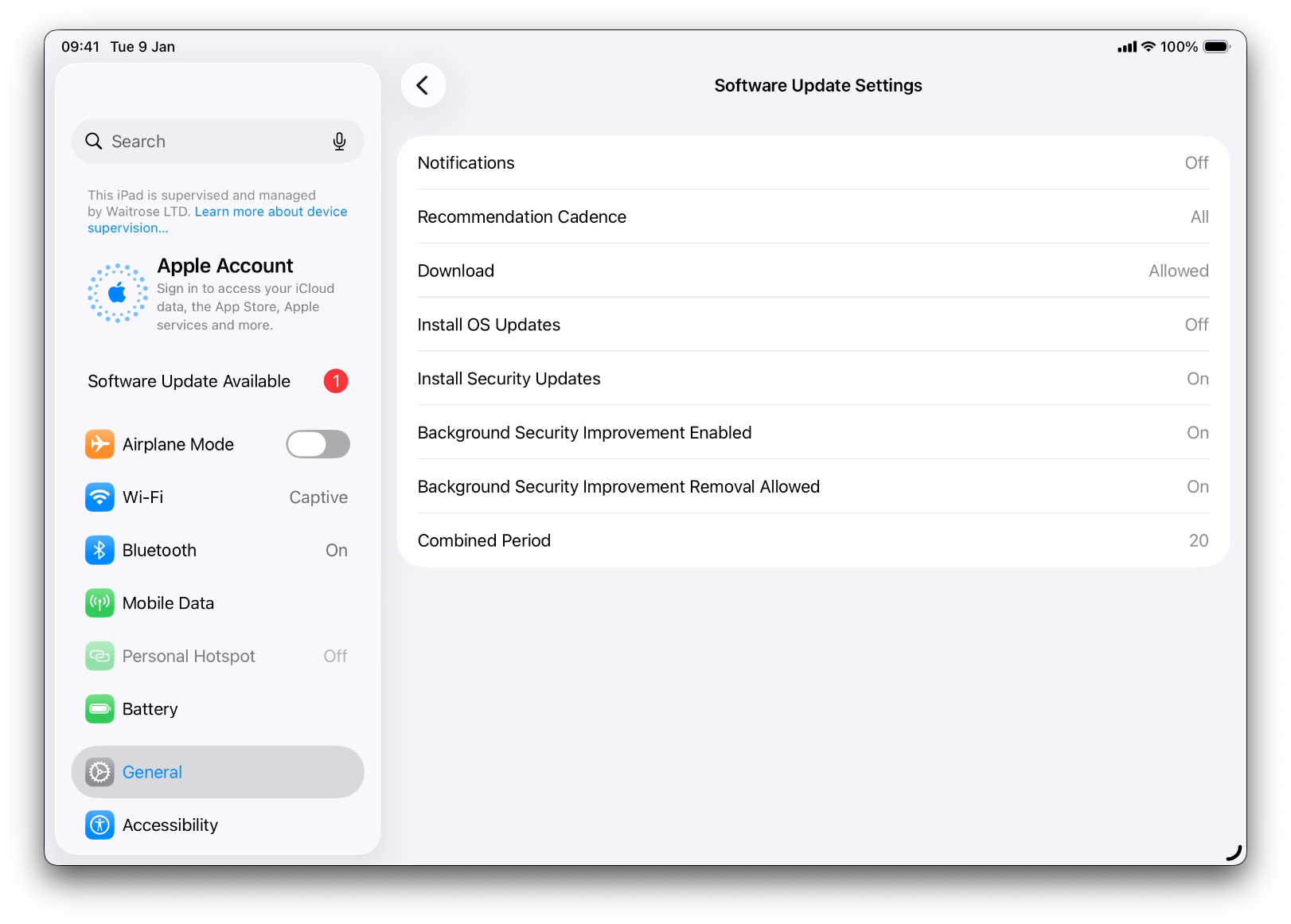 iPad Software Update settings configuration view